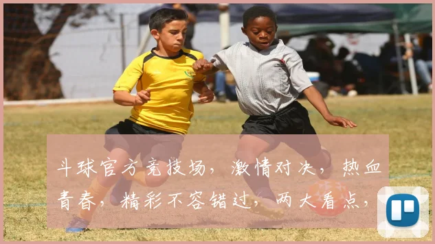 斗球官方竞技场，激情对决，热血青春，精彩不容错过，两大看点，等你来战