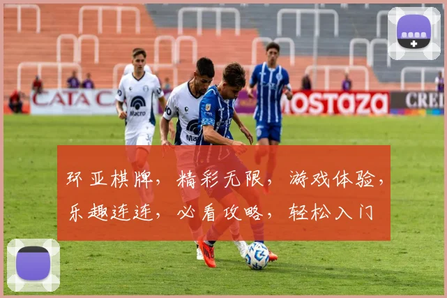 环亚棋牌，精彩无限，游戏体验，乐趣连连，必看攻略，轻松入门