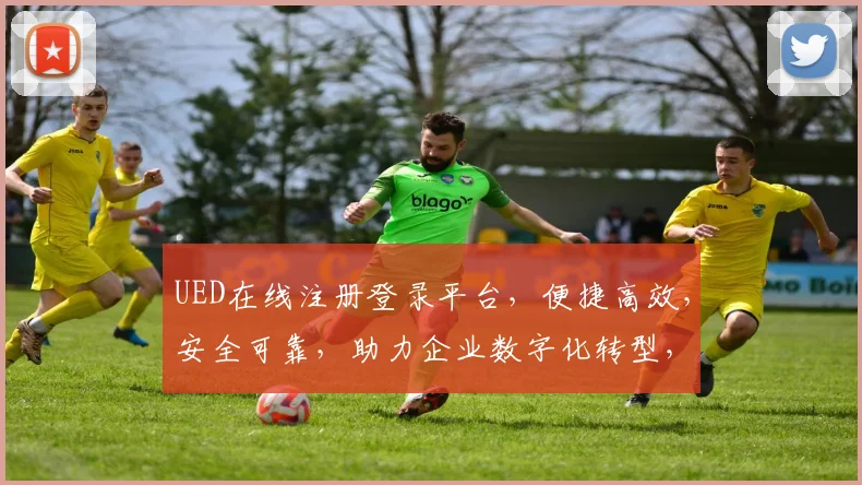 UED在线注册登录平台，便捷高效，安全可靠，助力企业数字化转型，体验非凡